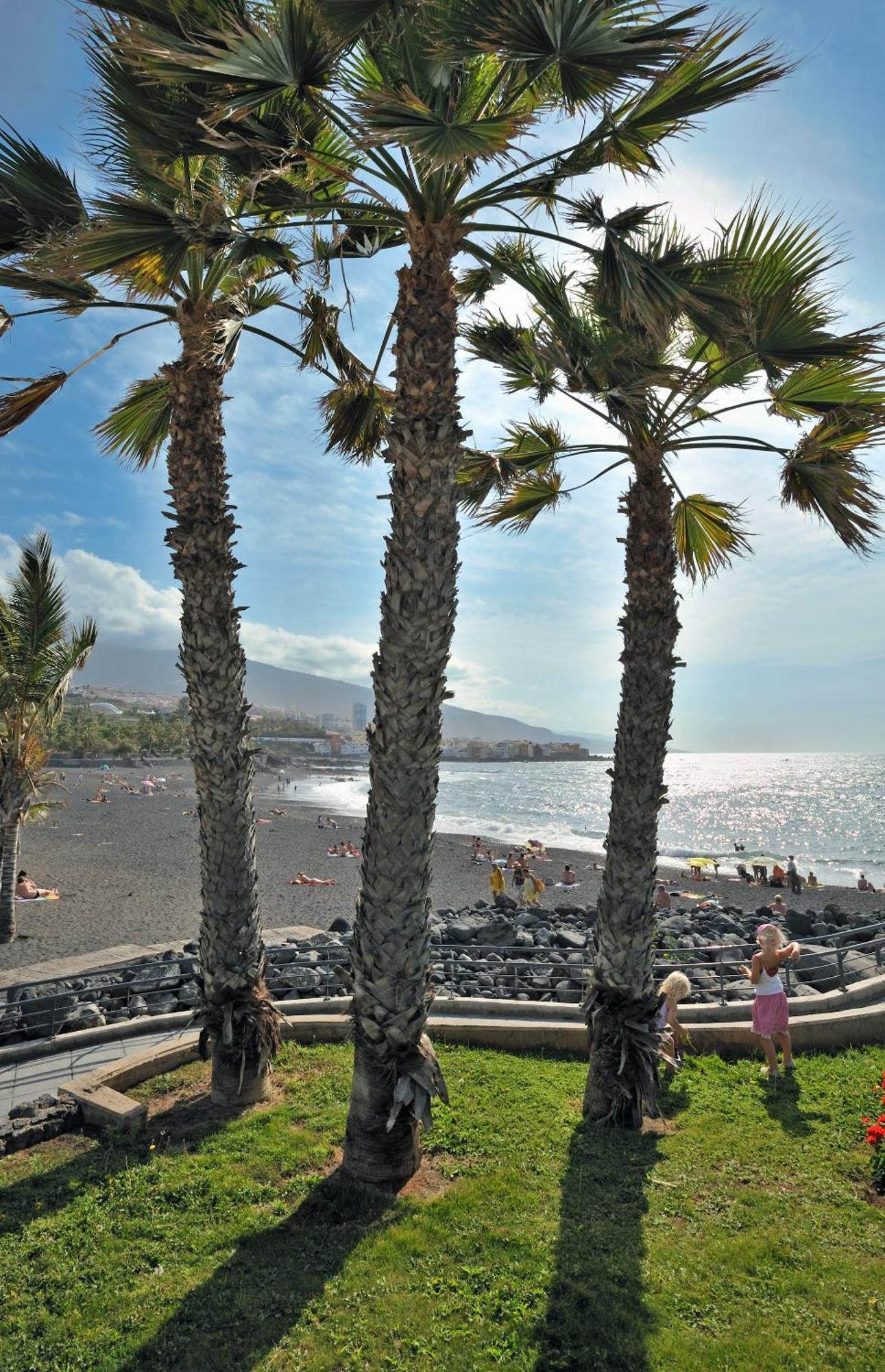 Sol Puerto de la Cruz  Servizi foto